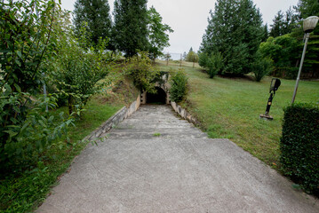 path in the park