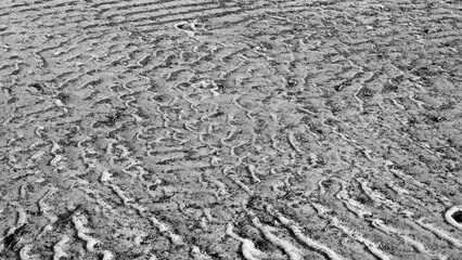 Spuren im Sand