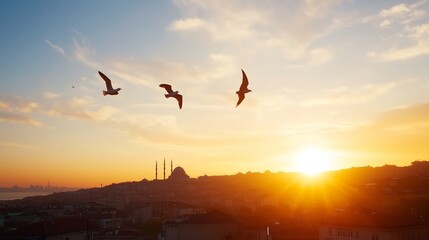 Sunset over the Istanbul skyline with birds flying in the warm evening sky