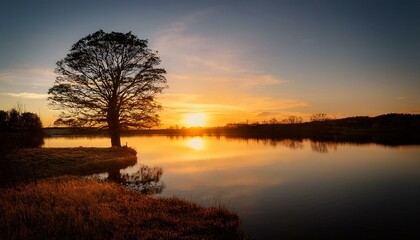 Tree silhouette with a beautiful sunset reflecting on the lake