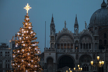 View of christmas tree in Venice, Italy