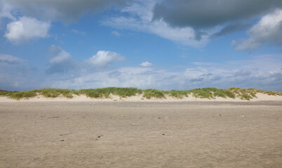 Typical natural scenery of the Mediterranean with low grass bushes and the sandy beach
