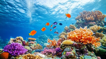 Fototapeta premium Vibrant coral reef teeming with colorful fish and diverse marine life under clear blue water.