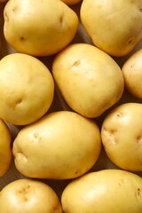 Young potatoes. Fresh potatoes on a wooden background. Harvesting collection. organic, freshly dug potatoes. Agricultural background. Vegan. Vegetables.Place for text.Copy space