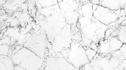 Obraz premium Elegant white marble background with intricate gray veining, perfect for design projects. This versatile texture adds touch of sophistication to any setting