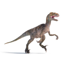 Fototapeta premium Dinosaur figure displays fierce stance while roaming a white background in a creative representation of prehistoric life