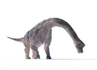 Fototapeta premium Large dinosaur with a long neck stands on a white background in a playful pose resembling its ancient habitat