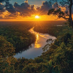 Amazon rainforest at sunset 