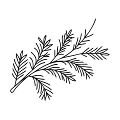 evergreen branch icon, christmas illustration, holiday icon - simple black line art of aevergreen branch , symbolizing holiday celebrations and festive spirit.