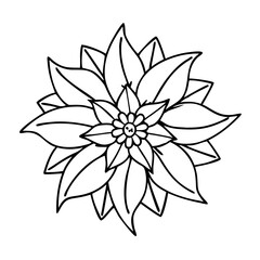 poinsettia flower icon, christmas illustration, holiday icon - simple black line art of apoinsettia flower , symbolizing holiday celebrations and festive spirit.