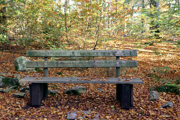 Hölzerne Bank im herbstlichen Wald mit bunt gefärbten Blättern in einem Wald bei Otzenhausen im...