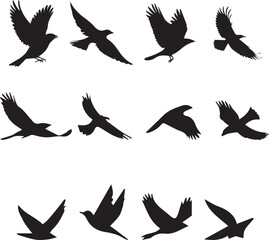 Obraz premium Birds Silhouette Vector Images