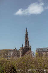 Fototapeta premium Edinburgh's beautiful streets with flowering trees in April