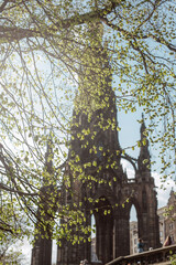 Fototapeta premium Edinburgh's beautiful streets with flowering trees in April