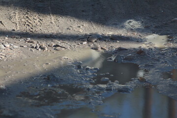 Close-up of the road