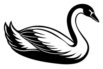 Obraz premium black swan on white background