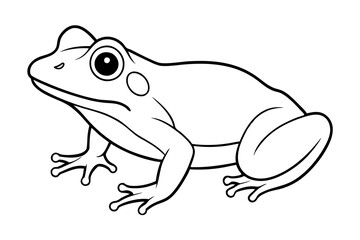Naklejka premium frog on white background