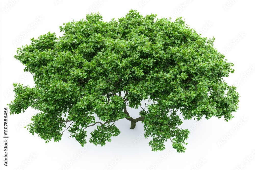 Poster a single tree with lush green leaves against a clean white background, ideal for use in presentation
