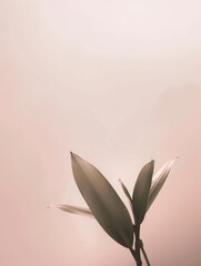 Obraz premium Softly lit minimalistic plant silhouette with delicate leaves against a pastel backdrop; ideal for calming visuals.
