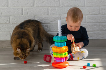 Happy childhood concept. Portrait of little infant start to play with wooden toys. The child...