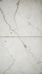 Obraz premium Marble tile featuring a distressed and weathered look with scratches, chips, and various imperfections, scratched