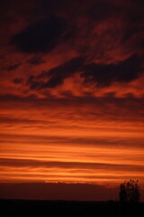 Obraz premium sunset in the sky