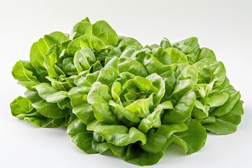 Obraz premium Fresh green lettuce on a clean white background