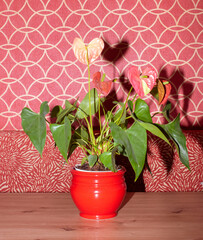 flower in a pot on a wooden table