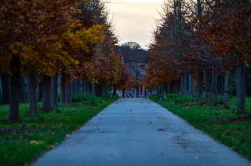 Obraz premium Empty cycling and walking path at the ringroad of Leuven