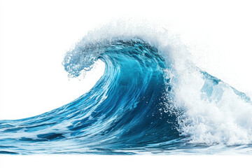 Fototapeta premium A vibrant ocean wave crashing with white foam against a clean background.
