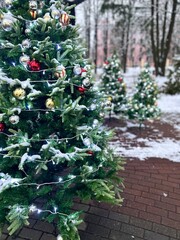 large christmas tree decorated with striped gold and silver balls with sparkling garlands against the background of decorated small trees on a brown tile path in a city park in december