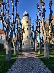 Beautiful Avenue Leading Up To a Lighthouse