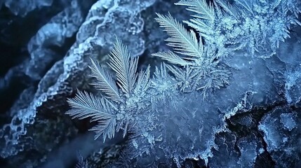 Close Up of Intricate Ice Formations on Rocks Frozen Waterfalls and Ice Formations ,Winter seasson, Happy New Year, Happy christmass