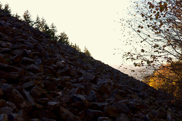 Der keltische Ringwall Hunnenring im Herbst im Nationalpark Hunsrück-Hochwald bei Otzenhausen....
