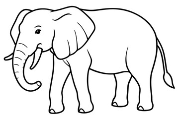 Fototapeta premium elephant isolated on white background