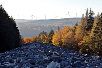 Der keltische Ringwall Hunnenring im Herbst im Nationalpark Hunsrück-Hochwald bei Otzenhausen....