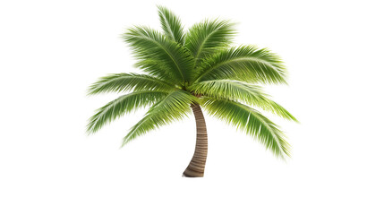Fototapeta premium A 3D rendering of a coconut tree isolated, PNG format Background. Generative AI