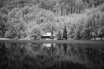 Winter landscape. Forest covered in snow reflected on a lake in Mogosa, Romania