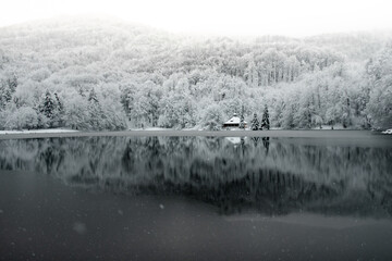 Winter landscape. Forest covered in snow reflected on a lake in Mogosa, Romania