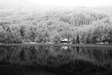 Winter landscape. Forest covered in snow reflected on a lake in Mogosa, Romania