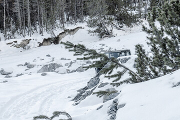 Verschneite Berglandschaft mit Gel&auml;ndewagen, B&auml;umen und Felsen