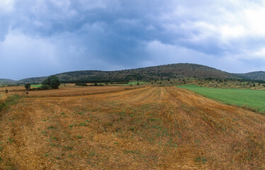 Fototapeta premium orge, blé, Causse Mejean; Parc naturel regional des Grands Causses; region Languedoc Roussillon; 48, France