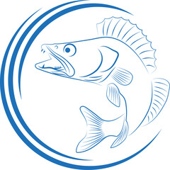 Fototapeta premium Zander und Kreise, Zander, Fisch, Logo, Angeln