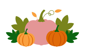 pumpkin on a white