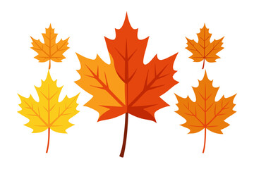 Fototapeta premium maple leaves isolated on white