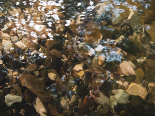 The river, with its rapid flow and majestic cliffs, creates a breathtaking landscape, reflecting the strength and beauty of the wild nature