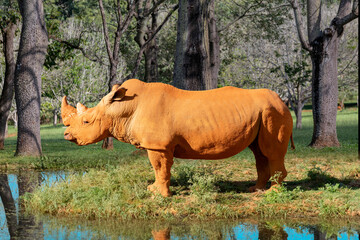 Fototapeta premium Creative photo of an African white rhino in portrait from behind