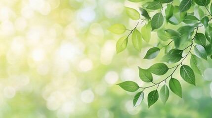 Obraz premium A serene backdrop featuring vibrant green leaves illuminated by soft light, perfect for nature-themed projects.