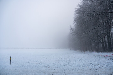 Winter with snow, trees and fog