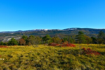 Obraz premium View of Slavnik mountain in Čičarija, Istria, Primorska, Slovenia from a meadow with pine trees and autumn red colored smoke trees